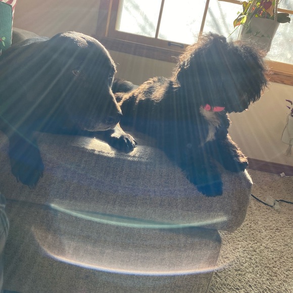 🎈Meet the seller/buyer & leave your feedback! 🎈 - Picture 9 of 13